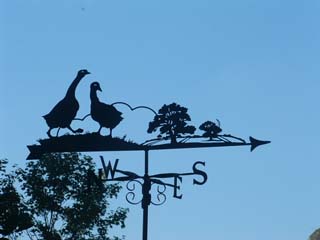 Geese in country weathervane